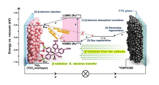 韓国の研究陣が次世代半永久的電池技術の開発に成功しました